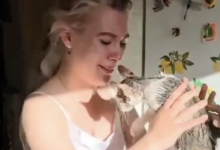 Необычное спасение в Кокшетау: котенок застрял головой в батарее