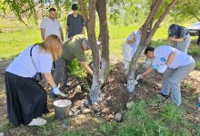 От Медеу до Сакских курганов: экоакция прошла в Алматы (ВИДЕО)