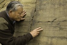 Токаев выразил соболезнования семье известного тюрколога Каржаубая Сарткожаулы