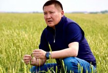 ЧП на "Майкаинзолото": Байханов высказался о сборе денег для семьи одного из погибших