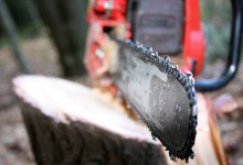 Распилил бензопилой: житель СКО чуть не остался без ноги