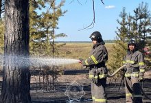 Лесной пожар потушили в Абайской области (ВИДЕО)