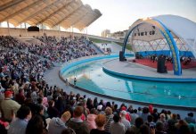 Дни культуры Ташкента: ожидать ли давку за бесплатными продуктами в Астане