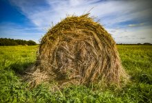 Вспыхнувшее сено стало причиной крупного пожара в ВКО (ВИДЕО)