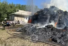 Грузовик с сеном пытался потушить водитель в Туркестанской области