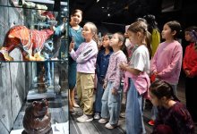 Свыше 57 тысяч казахстанцев и зарубежных гостей посетили Президентский центр