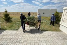 На объектах национального достояния аманатовцы навели порядок