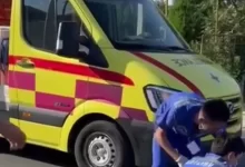 20-летняя девушка погибла под колесами авто в Шымкенте