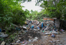 40 тонн мусора накопила жительница частного дома