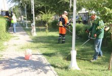 Экоакция "Чистое село" прошла в Туркестанской области