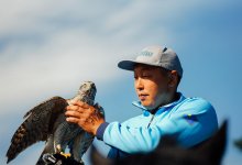 Лучших ловчих птиц готовят для участия во Всемирных играх кочевников (ВИДЕО)