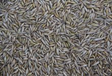 8,5 лет тюрьмы получил астанчанин за растрату и халатность