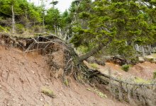 Как спастись в горах от сходящего селя – рекомендации МЧС