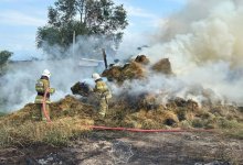 Почти 30 тонн сена сгорело в двух областях Казахстана за день (ВИДЕО)