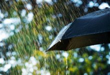 Дожди и туманы прогнозируют синоптики в Казахстане 26 августа