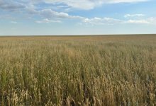 Почти 150 тысяч тенге штрафа заплатит вуз в Павлодарской области