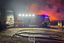 Крупный пожар произошел на базе КазНИИ животноводства (ВИДЕО)