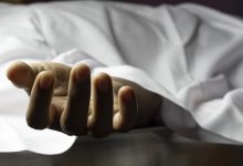 Останки тела девушки нашли в Павлодаре