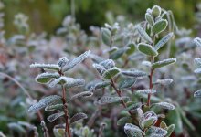 Заморозки, дожди и грозы — объявлено штормовое предупреждение