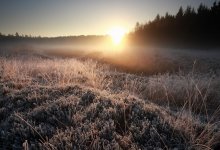 Дожди, ветер и туман ожидаются в Казахстане 5 сентября