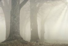 В каких регионах Казахстана объявлено штормовое предупреждение