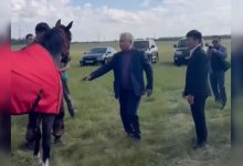 Дядя Салтанат Нукеновой подарил лошадь Гусману Кыргызбаеву