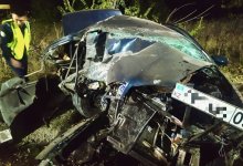 Столкнулся с деревом: 18-летний водитель погиб в Алматинской области (ВИДЕО)