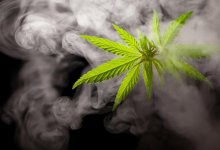 Конопля в доме: дочь сдала свою мать полицейским