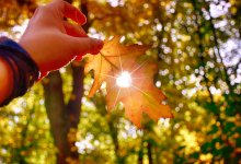 Погода без осадков ожидается в Казахстане 19 сентября