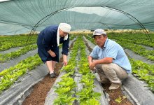 В Меркенском районе успешно работает проект, запущенные благодаря партийному проекту “Қарызсыз қоғам”