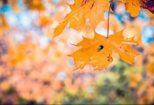 Погода в Казахстане на 20 сентября: прогноз синоптиков