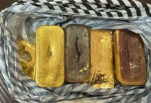 Более 3 кг золотых слитков не дали ввезти в Казахстан оперативники Кыргызстана