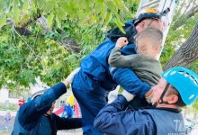 Ребенок-скалолаз попал в ловушку на дереве