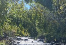 Синоптики поведали о погоде в Казахстане на 22 сентября