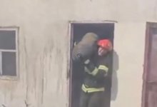 Семь газовых баллонов вынесли из огня пожарные Кызылорды