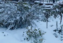 Снег выпал в Южной Африке