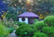 Ботанический сад Алматы закрывается