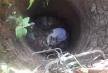 Спасательную операцию по спасению собаки из колодца развернули в Риддере (ВИДЕО)