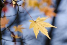 Прохладно и без осадков будет в Казахстане 26 сентября