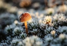 Резкое похолодание ожидается в нескольких регионах Казахстана