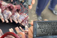 Мясо с фальшивым печатями продавали в Астане