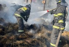 Корову и собаку спасли из крупного пожара в ЗКО