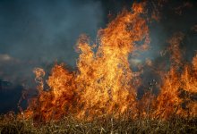 Степной пожар в Карагандинской области: огонь охватил более 3 тысяч га