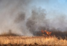 Камыш горит на большой площади в Атырауской области (ВИДЕО)