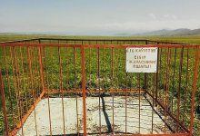 Близ очагов сибирской язвы вернули государству земли в Жамбылской области