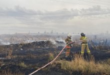 Сразу 5 степных пожаров возникло в Акмолинской области