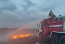 Степной пожар в Костанайской области ликвидировали огнеборцы