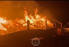 600 тонн складированного сена потушили пожарные Восточного Казахстана