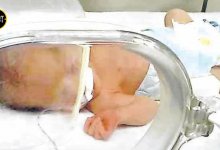 Женщина бросила младенца в туалете: новоиспеченная мать задержана