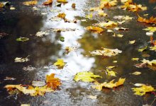 Осадки ожидаются в Казахстане 18 октября